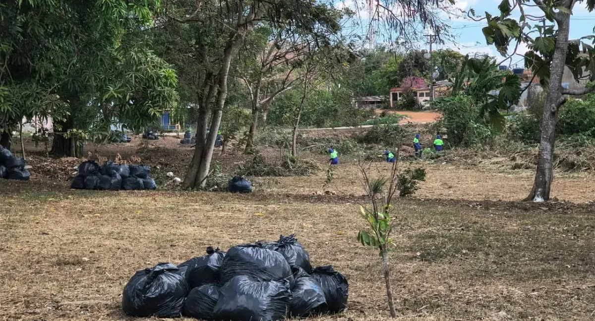 Pedido de Sofia Andrade garante limpeza de córrego na Rua Gruta Azul em Castanheira