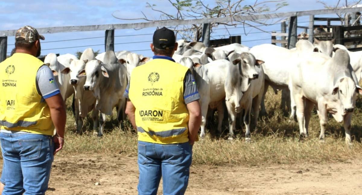 Produtor rondoniense tem 30 dias para atualizar cadastro agropecuário junto à Idaron a partir de sábado (1º)