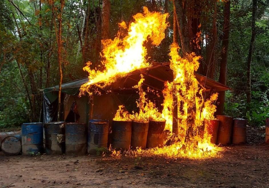 Como a Amazônia se tornou corredor do crime internacional