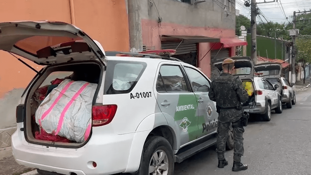 Operação mira influenciadores suspeitos de promover soltura de balões em SP