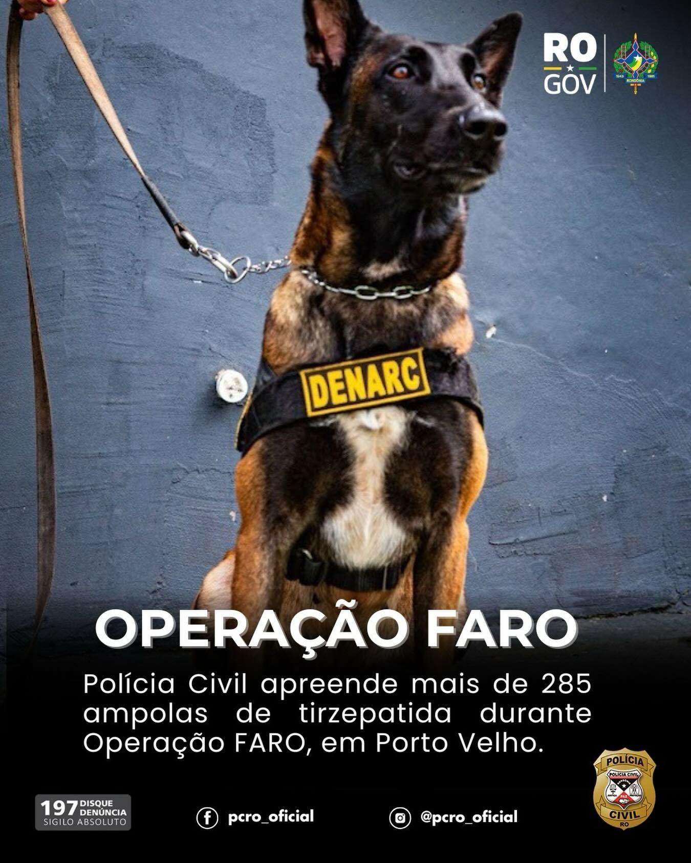 Polícia Civil de Rondônia apreende substância irregular com apoio de cão farejador durante operação