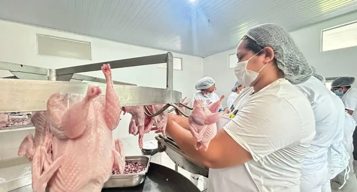 SIM garante segurança no abate de codornas em agroindústria de Porto Velho