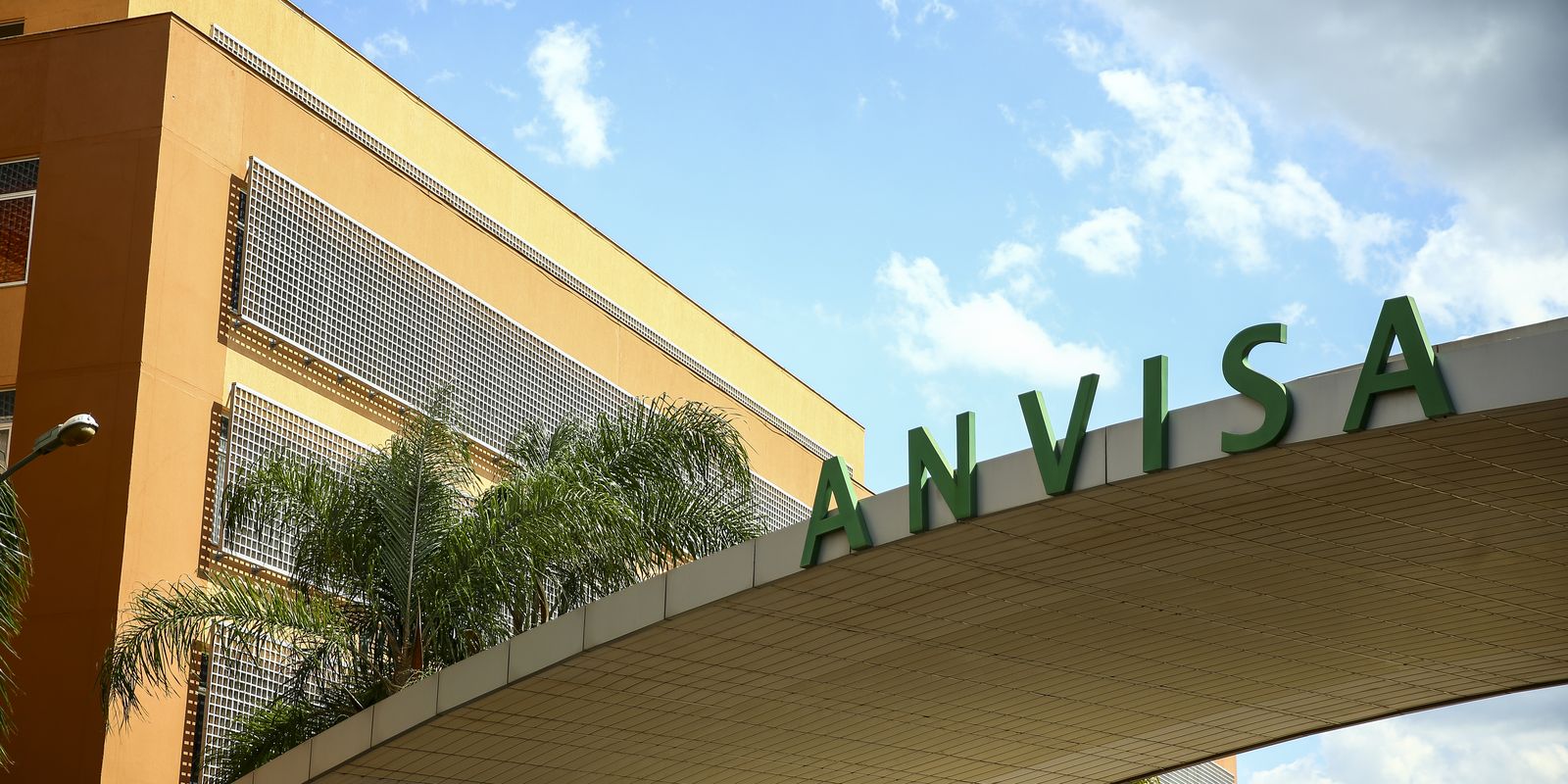 Anvisa proíbe plataforma de consulta online e entrega de medicamento